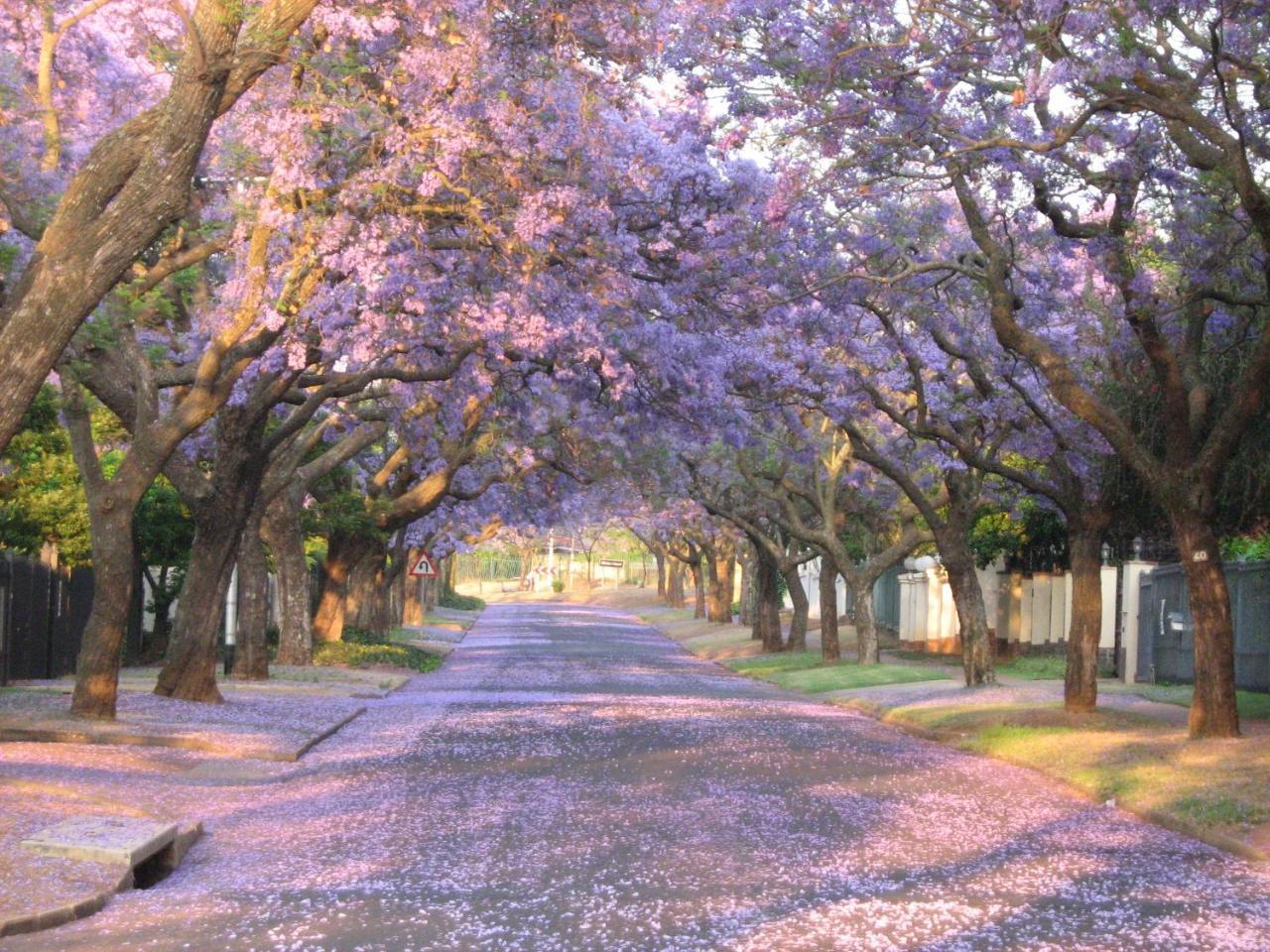 Pretoria-Noord 3@马里昂旅馆酒店 外观 照片